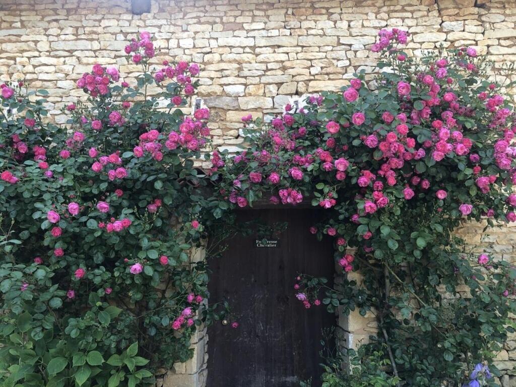 Blacksmiths Apartment In Blanzay - 1 Bed 外观 照片
